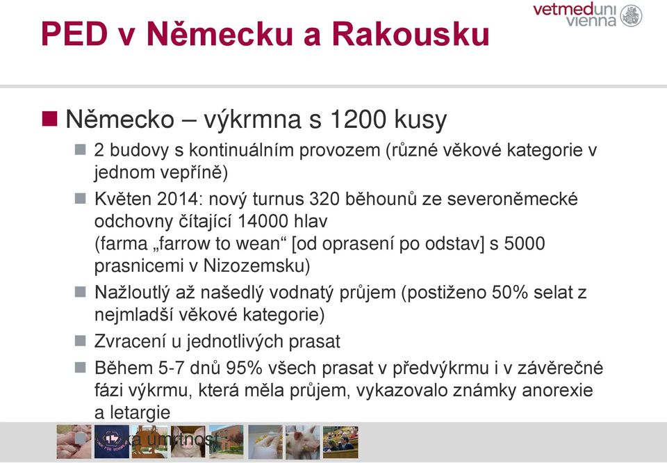 prasnicemi v Nizozemsku) Nažloutlý až našedlý vodnatý průjem (postiženo 50% selat z nejmladší věkové kategorie) Zvracení u jednotlivých