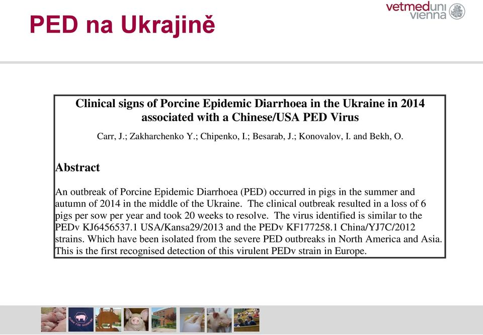 The clinical outbreak resulted in a loss of 6 pigs per sow per year and took 20 weeks to resolve. The virus identified is similar to the PEDv KJ6456537.