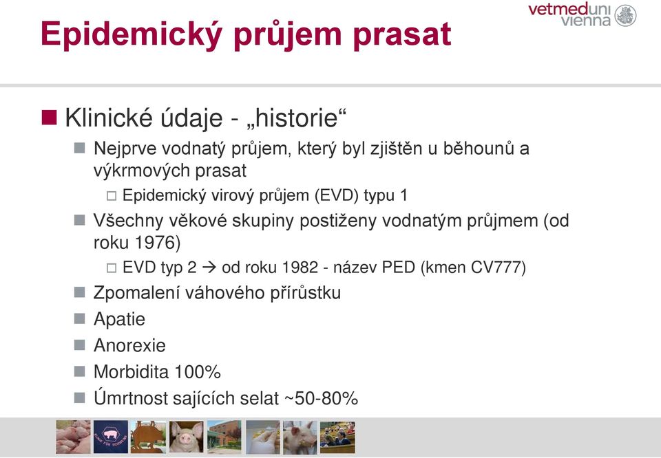 skupiny postiženy vodnatým průjmem (od roku 1976) EVD typ 2 od roku 1982 - název PED (kmen