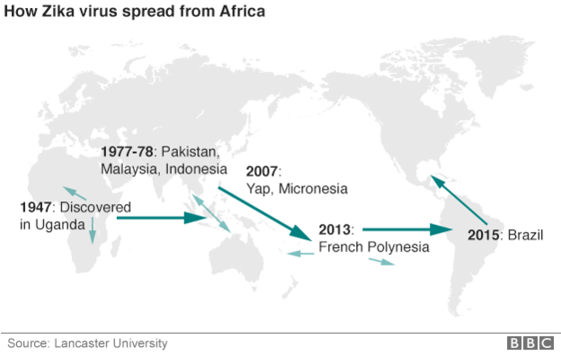 VIRUS ZIKA SOUČASNÁ EPIDEMIE 2007 - Mikronésie (ostrov Yap): asi 100 dokumentovaných případů, odhad, že nákaza postihla 70 % obyvatel Říjen 2013 - Francouzská Polynésie (Tahiti, Bora-Bora): asi 28