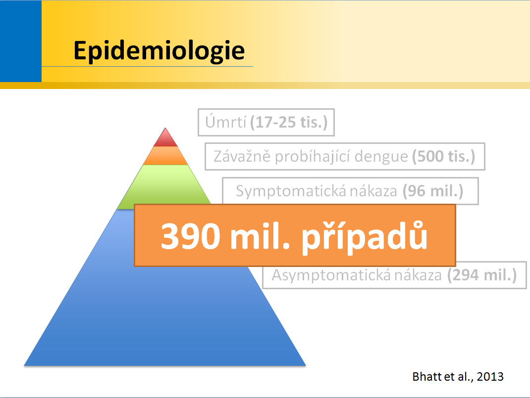 Klinické manifestace horečky dengue