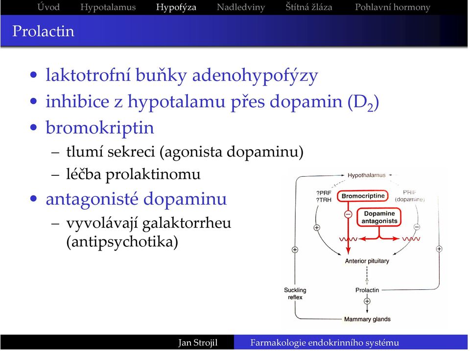 dopamin (D 2 ) bromokriptin tlumísekreci (agonista dopaminu) léčba