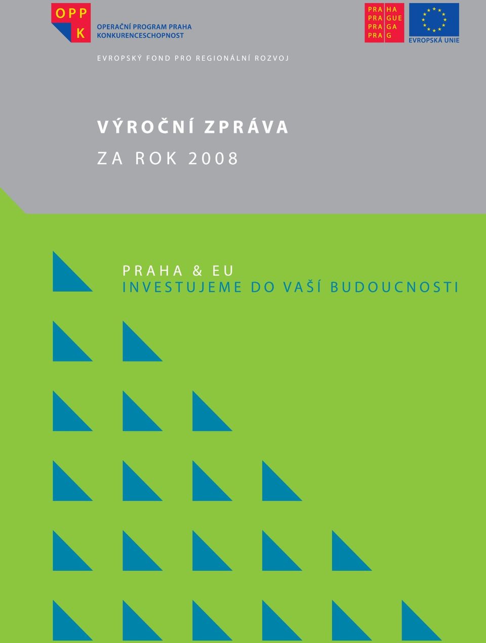 ROK 2008 Výroční zpráva o realizaci