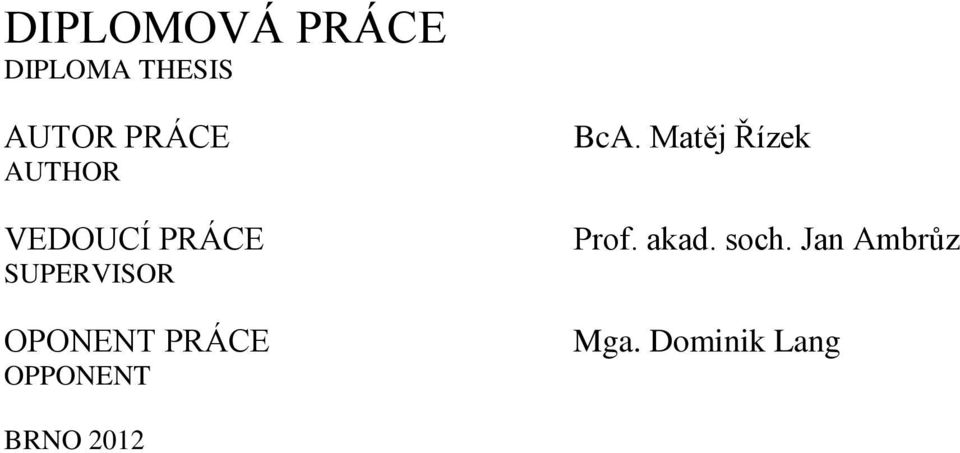 PRÁCE OPPONENT BcA. Matěj Řízek Prof. akad.