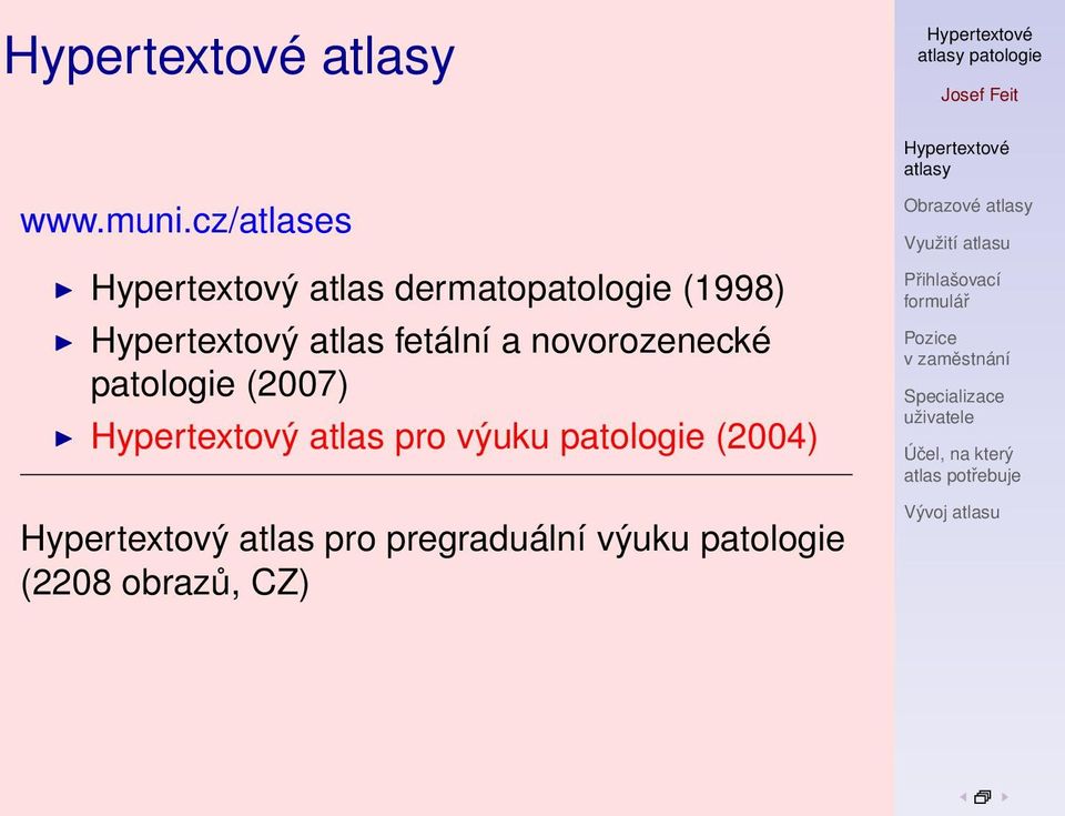 Hypertextový atlas fetální a novorozenecké patologie (2007)