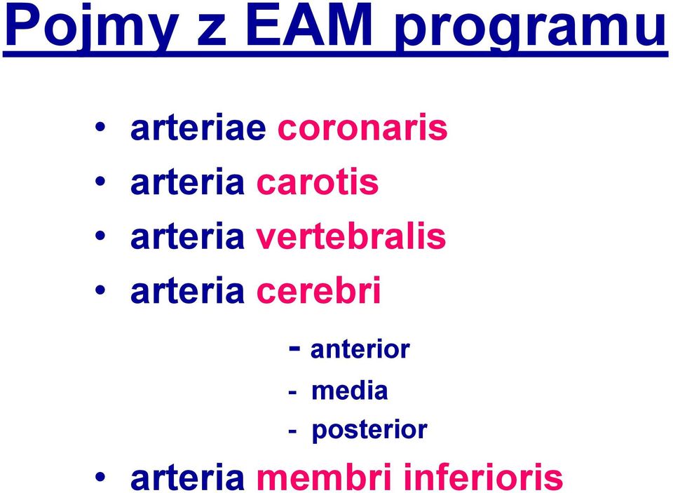 vertebralis arteria cerebri -