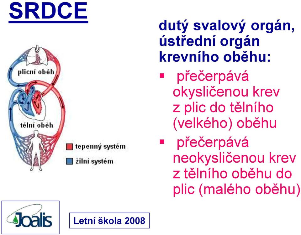 plic do tělního (velkého) oběhu přečerpává