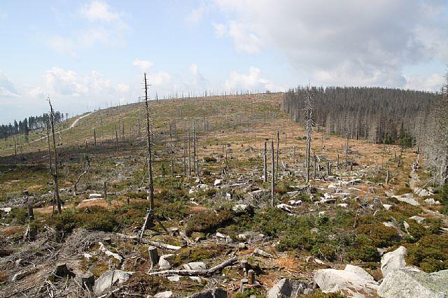 Šumava - orkán