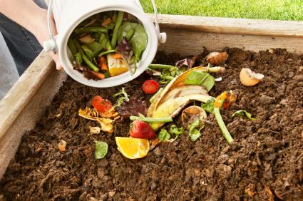 composting plant obnovuje kvalitu půdy a poskytuje podmínky pro kvantitativně vyšší růst