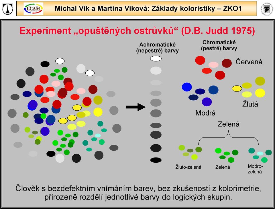 Červená Modrá Zelená Žlutá Žluto-zelená Zelená Modrozelená Člověk s