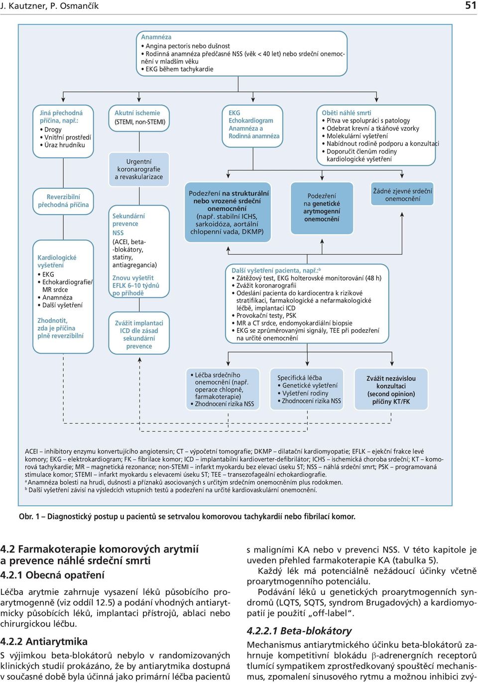 : Drogy Vnitřní prostředí Úraz hrudníku Akutní ischemie (STEM, non-stem) Urgentní koronarografie a revaskularizace EKG Echokardiogram Anamnéza a Rodinná anamnéza Oběti náhlé smrti Pitva ve spolupráci