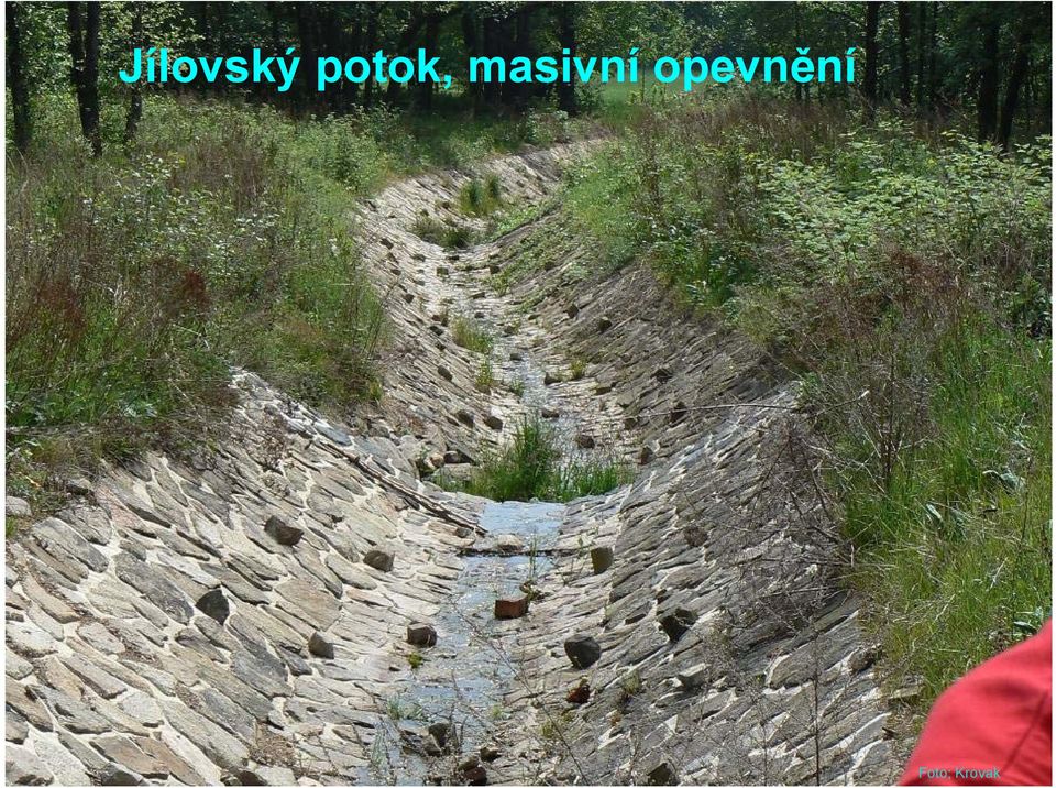 masivní