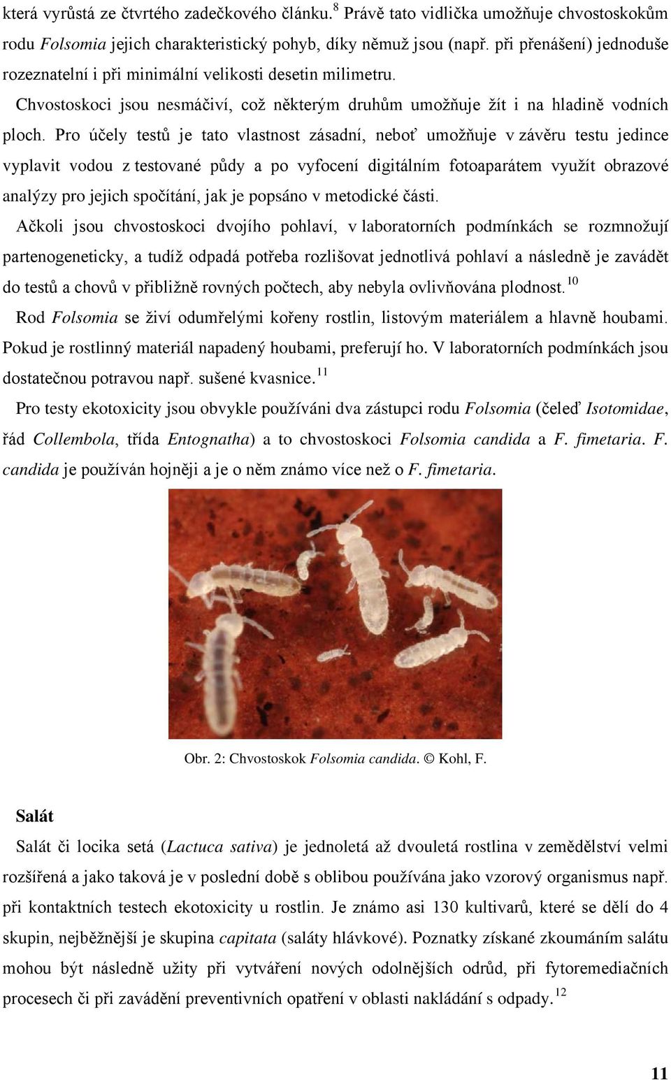 Pro účely testů je tato vlastnost zásadní, neboť umožňuje v závěru testu jedince vyplavit vodou z testované půdy a po vyfocení digitálním fotoaparátem využít obrazové analýzy pro jejich spočítání,