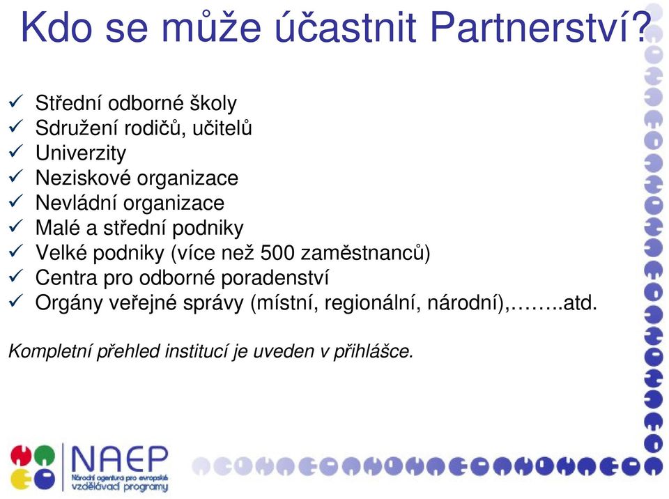 Nevládní organizace Malé a střední podniky Velké podniky (více než 500 zaměstnanců)