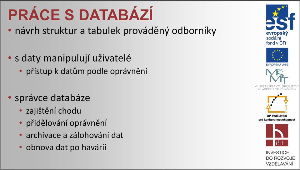 podle oprávnění správce databáze zajištění chodu