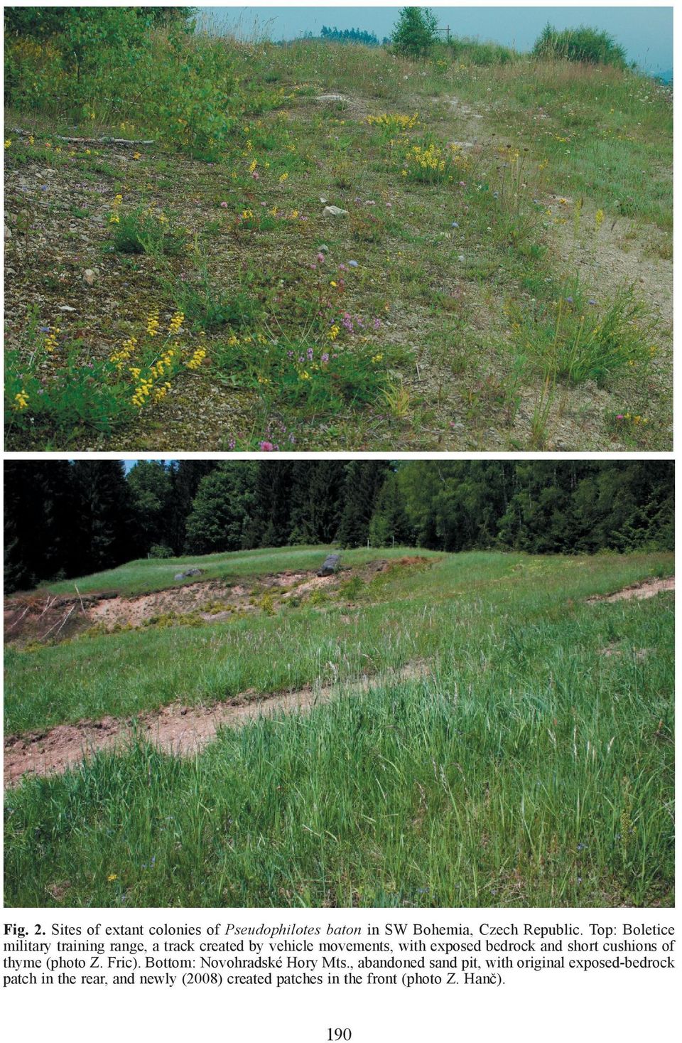 and short cushions of thyme (photo Z. Fric). Bottom: Novohradské Hory Mts.