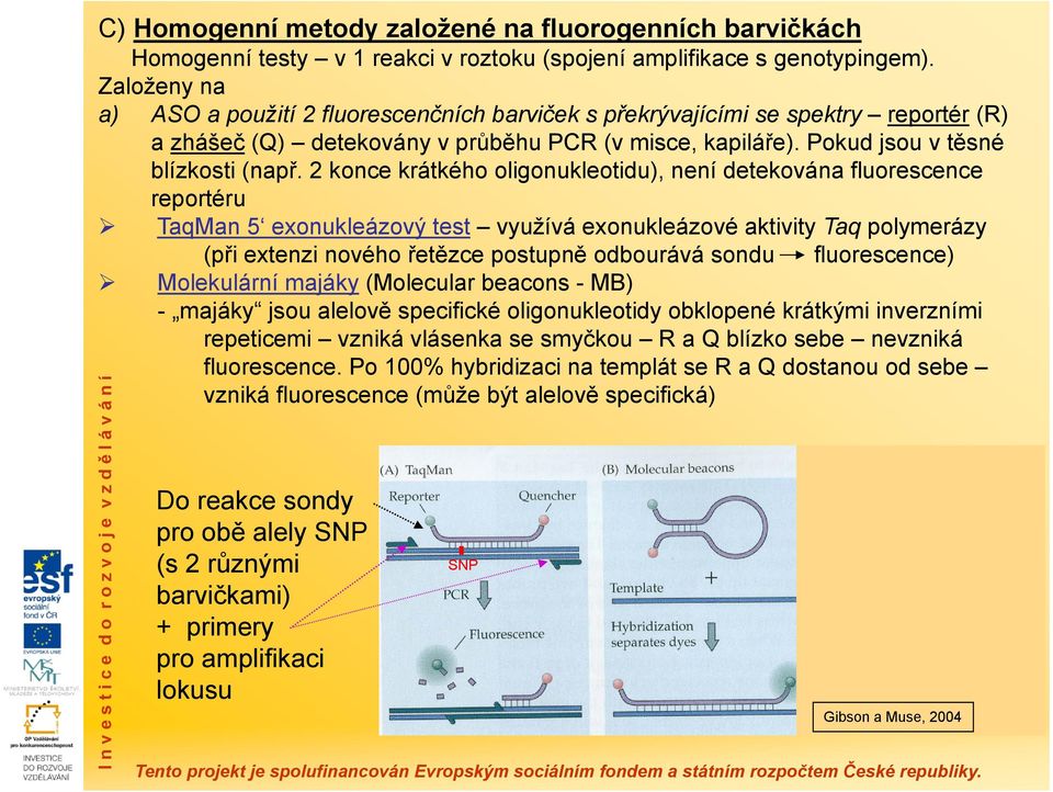 2 konce krátkého oligonukleotidu), není detekována fluorescence reportéru TaqMan 5 exonukleázový test využívá exonukleázové aktivity Taq polymerázy (při extenzi nového řetězce postupně odbourává