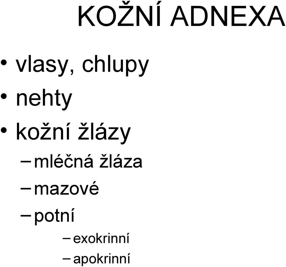 žlázy mléčná žláza