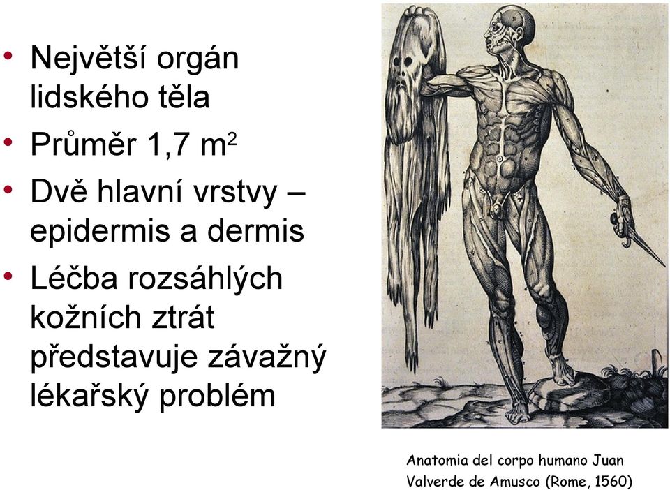 kožních ztrát představuje závažný lékařský problém