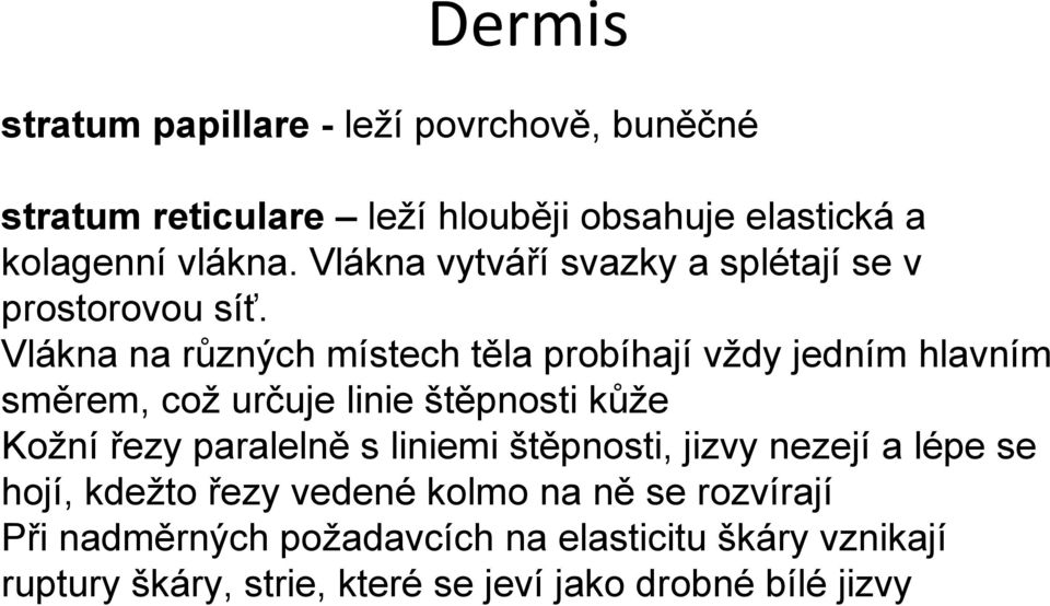 Vlákna na různých místech těla probíhají vždy jedním hlavním směrem, což určuje linie štěpnosti kůže Kožní řezy paralelně s