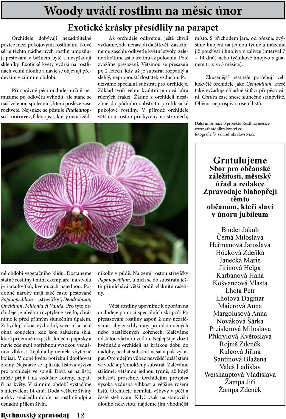 Exotické krásky přesídlily na parapet Až orchideje odkvetou, ještě chvíli vyčkáme, zda nenasadí další květ. Zastřihneme zaschlé odkvetlé květní stvoly, zelené zkrátíme asi o třetinu až polovinu.