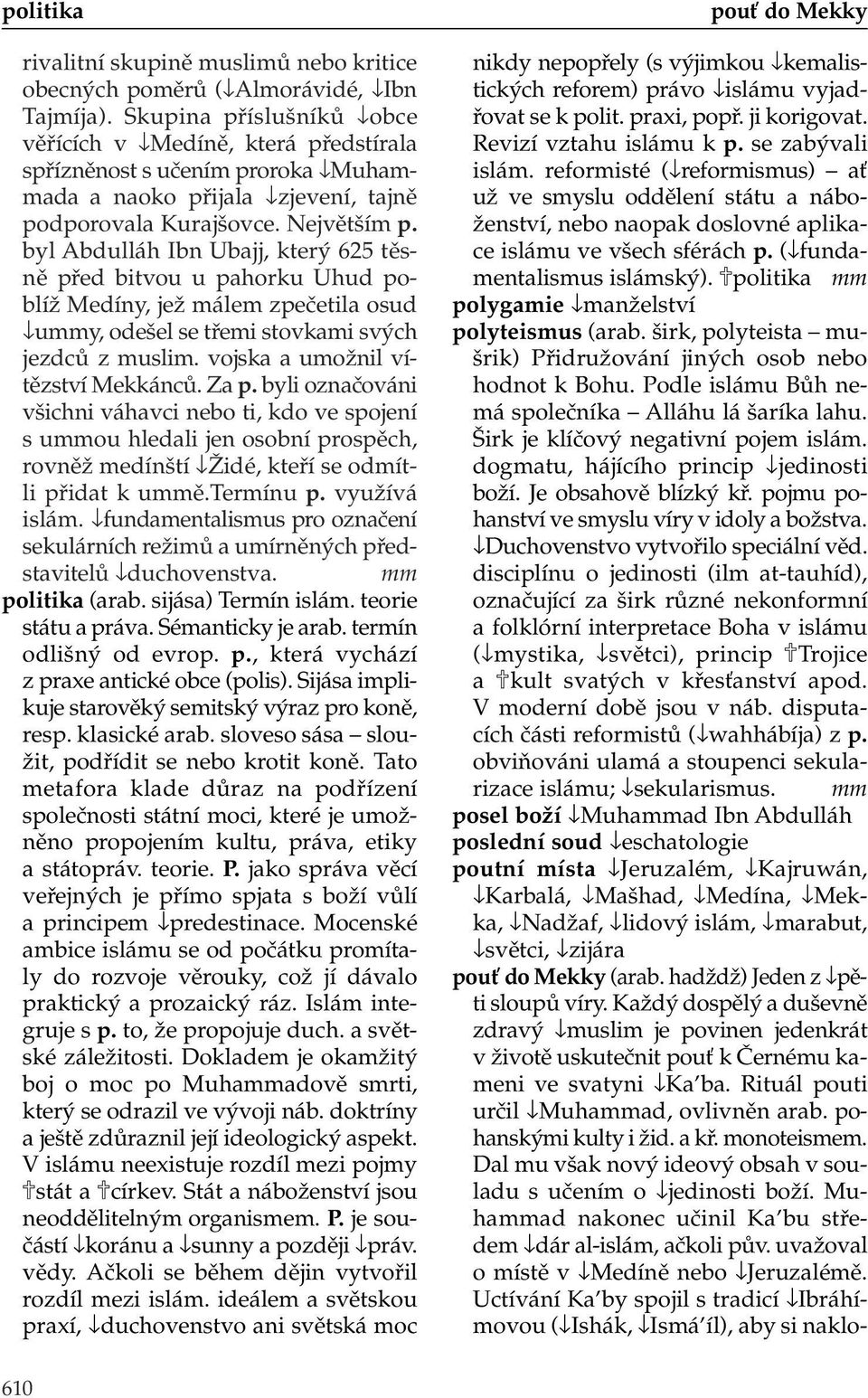 politika mm polygamie manželství polyteismus (arab. širk, polyteista mušrik) Přidružování jiných osob nebo hodnot k Bohu. Podle islámu Bůh nemá společníka Alláhu lá šaríka lahu.