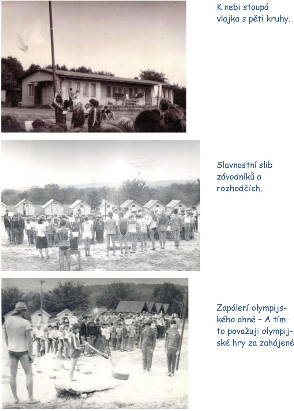 rozhodčích.