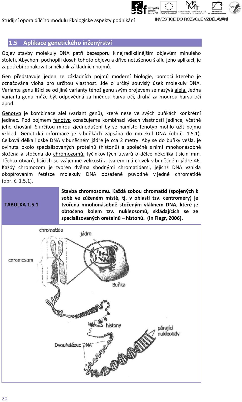 Gen představuje jeden ze základních pojmů moderní biologie, pomocí kterého je označována vloha pro určitou vlastnost. Jde o určitý souvislý úsek molekuly DNA.