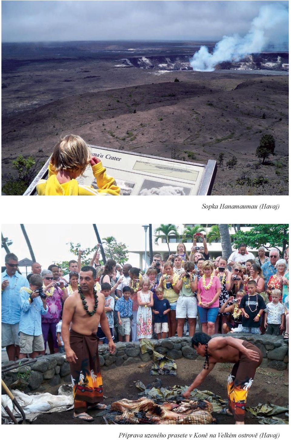 uzeného prasete v