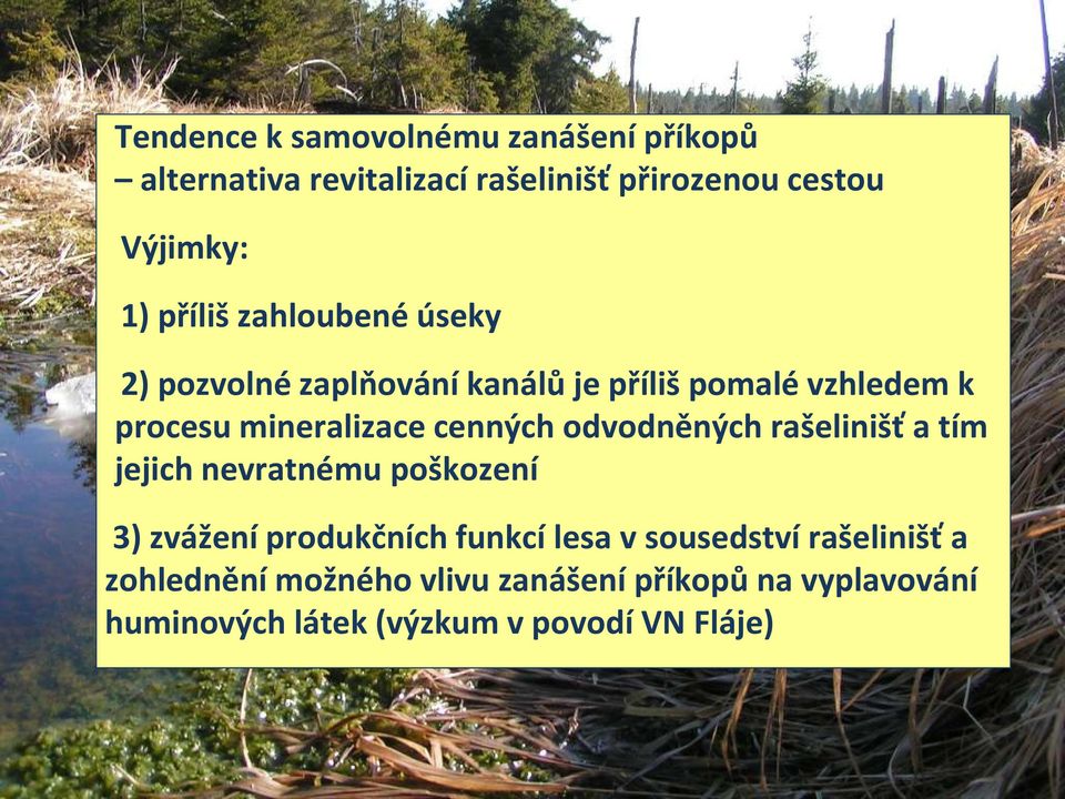 cenných odvodněných rašelinišť a tím jejich nevratnému poškození 3) zvážení produkčních funkcí lesa v