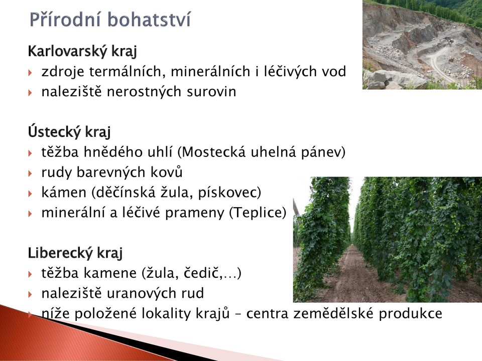 (děčínská žula, pískovec) minerální a léčivé prameny (Teplice) Liberecký kraj těžba