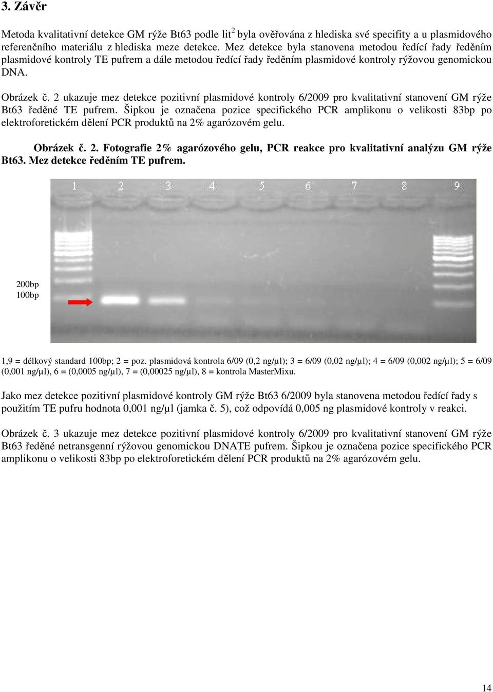 2 ukazuje mez detekce pozitivní plasmidové kontroly 6/2009 pro kvalitativní stanovení GM rýže Bt63 ředěné TE pufrem.