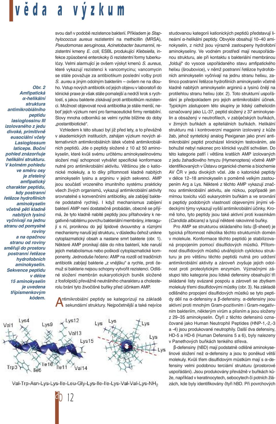 V kolmém pohledu ve směru osy je zřetelný amfipatický charakter peptidu, kdy postranní řetězce hydrofilních aminokyselin včetně pěti kladně nabitých lysinů vyčnívají na jednu stranu od pomyslné