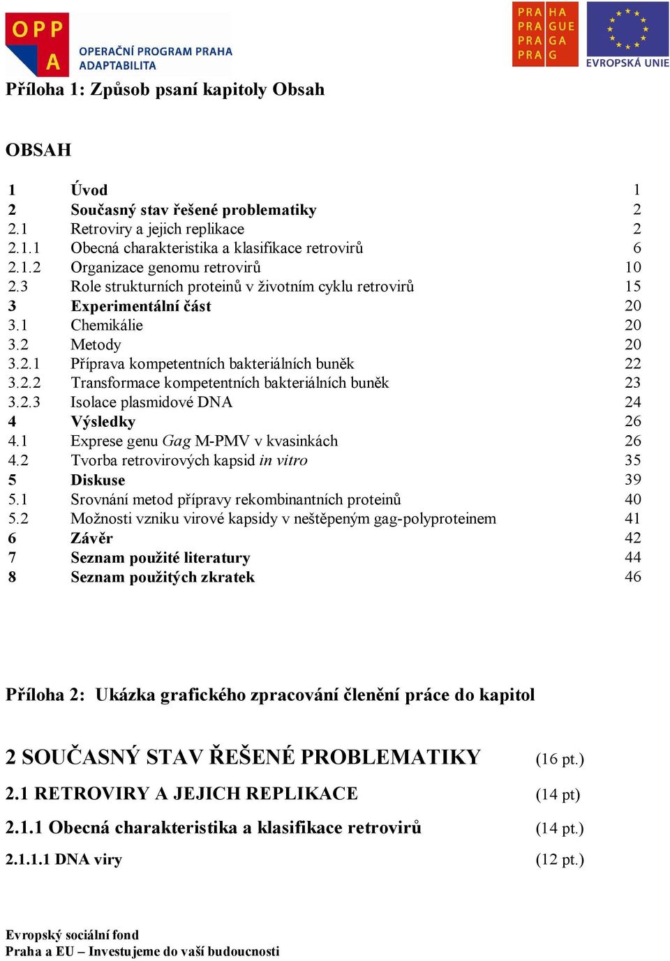 2.3 Isolace plasmidové DNA 24 4 Výsledky 26 4.1 Exprese genu Gag M-PMV v kvasinkách 26 4.2 Tvorba retrovirových kapsid in vitro 35 5 Diskuse 39 5.