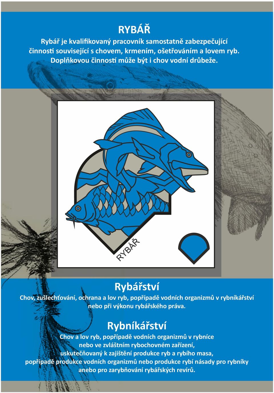 Rybářství Chov, zušlechťování, ochrana a lov ryb, popřípadě vodních organizmů v rybníkářství nebo při výkonu rybářského práva.