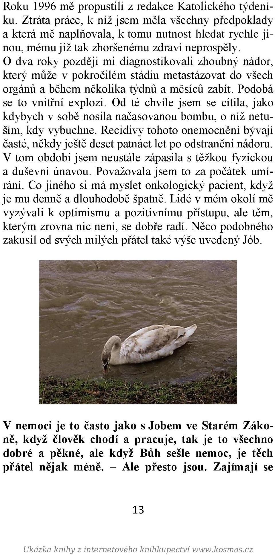 O dva roky později mi diagnostikovali zhoubný nádor, který může v pokročilém stádiu metastázovat do všech orgánů a během několika týdnů a měsíců zabít. Podobá se to vnitřní explozi.