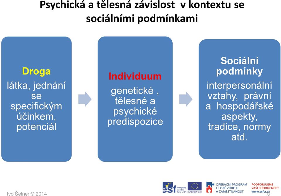 tělesné a psychické predispozice Sociální podmínky interpersonální