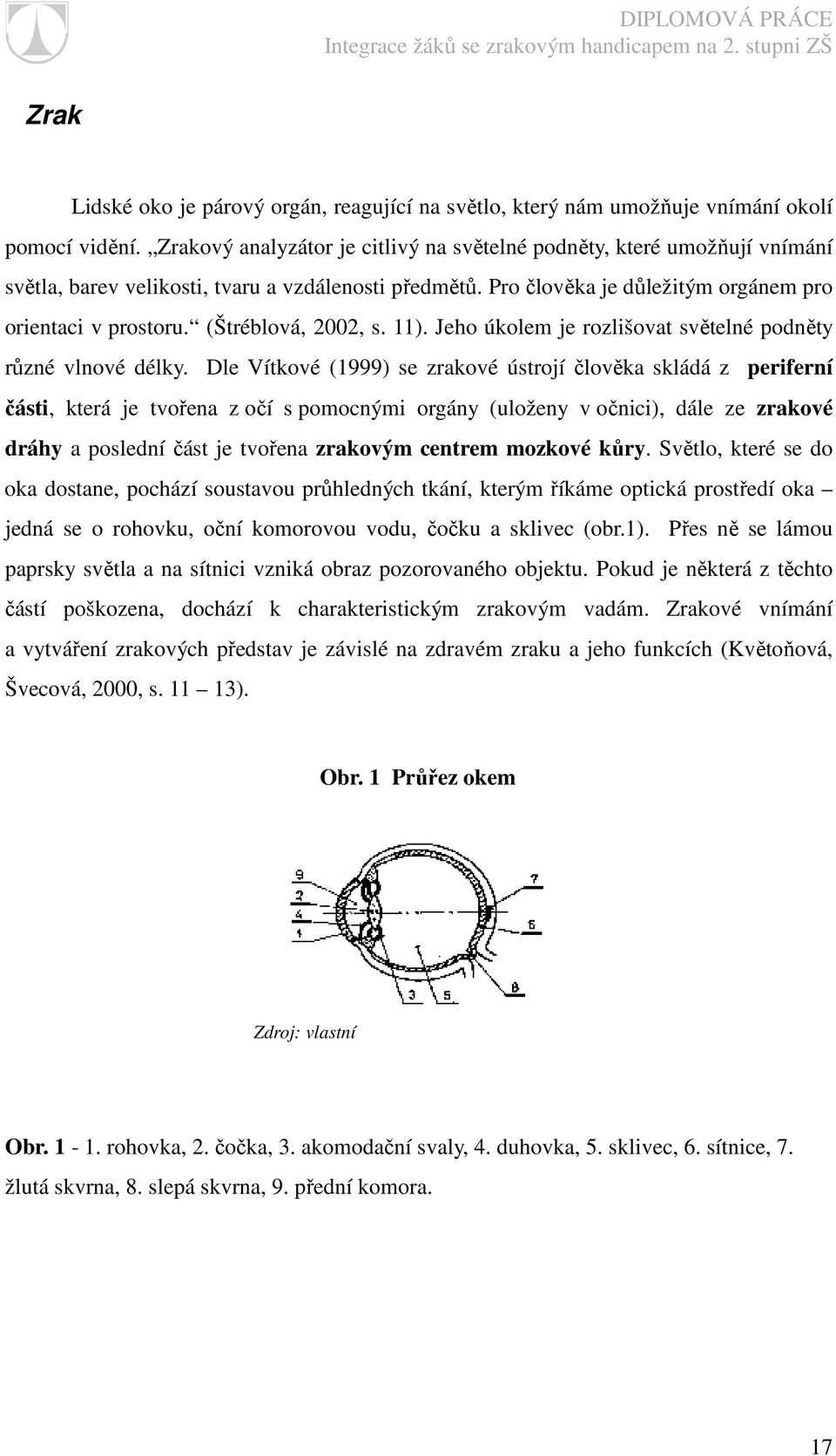 (Štréblová, 2002, s. 11). Jeho úkolem je rozlišovat světelné podněty různé vlnové délky.