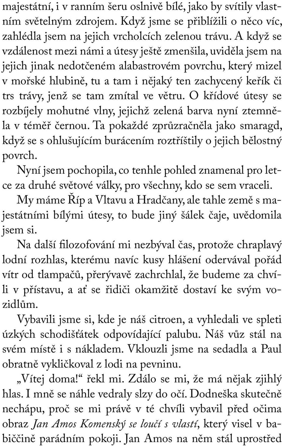 jenž se tam zmítal ve větru. O křídové útesy se rozbíjely mohutné vlny, jejichž zelená barva nyní ztemněla v téměř černou.