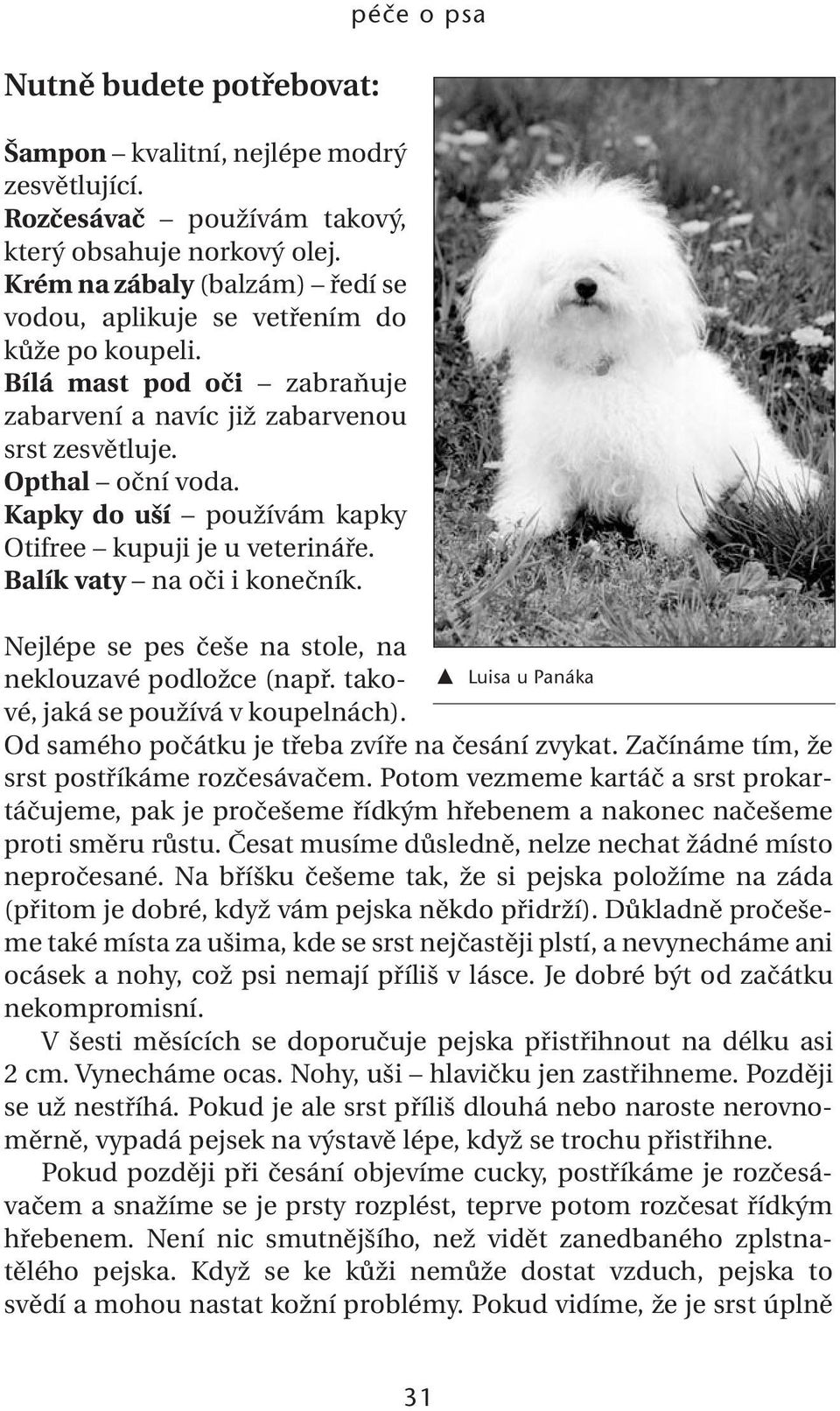 Kapky do uší používám kapky Otifree kupuji je u veterináře. Balík vaty na oči i konečník. péče o psa Nejlépe se pes češe na stole, na neklouzavé podložce (např. takové, jaká se používá v koupelnách).