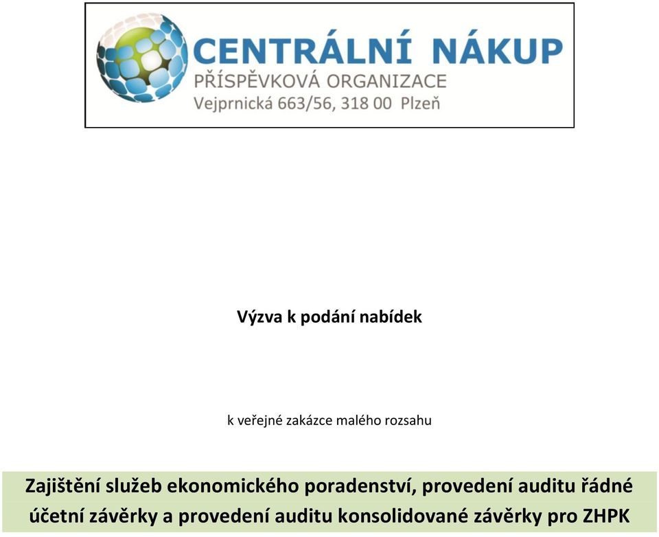 poradenství, provedení auditu řádné účetní