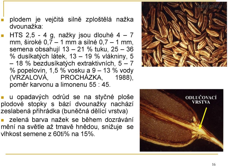 PROCHÁZKA, 1988), poměr karvonu a limonenu 55 : 45.