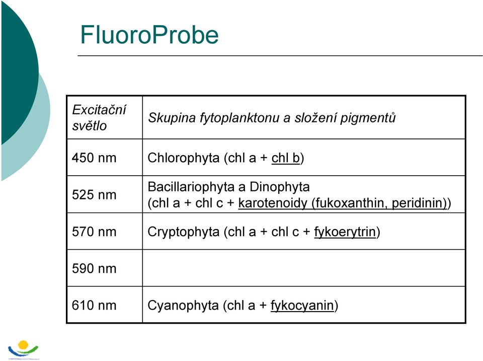 Dinophyta (chl a + chl c + karotenoidy (fukoxanthin, peridinin))