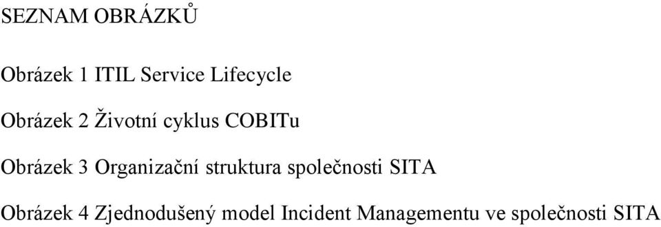 Organizační struktura společnosti SITA Obrázek 4
