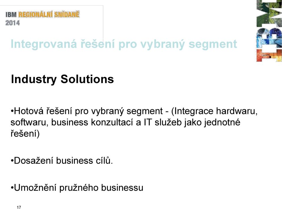 softwaru, business konzultací a IT služeb jako jednotné