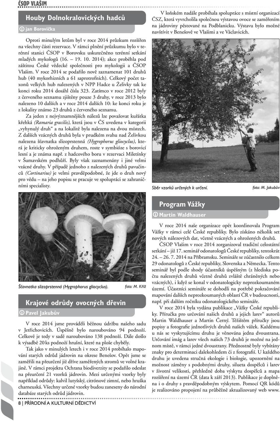 2014); akce proběhla pod záštitou České vědecké společnosti pro mykologii a ČSOP Vlašim. V roce 2014 se podařilo nově zaznamenat 101 druhů hub (40 mykorhizních a 61 saprotrofních).