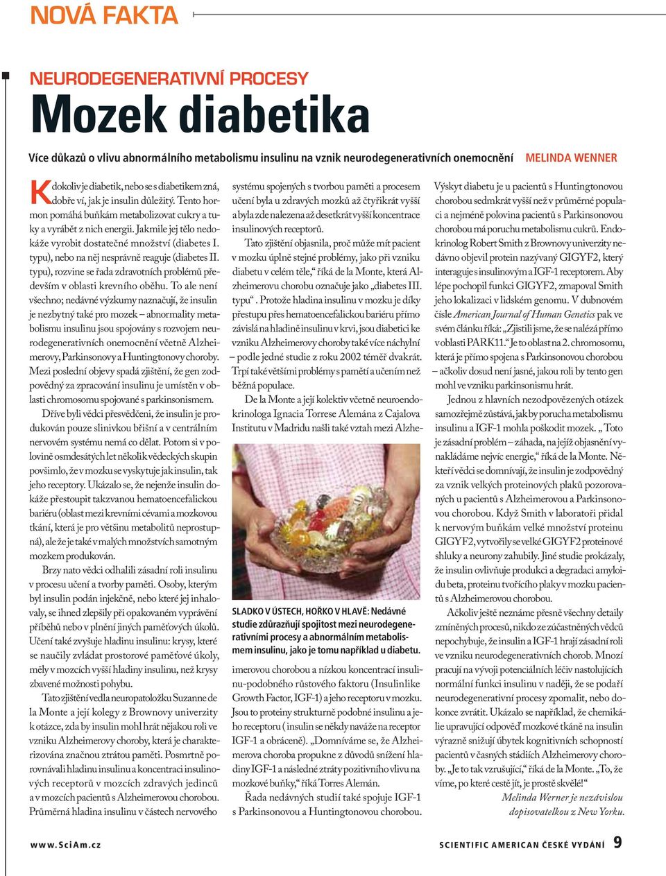 typu), nebo na něj nesprávně reaguje (diabetes II. typu), rozvine se řada zdravotních problémů především v oblasti krevního oběhu.