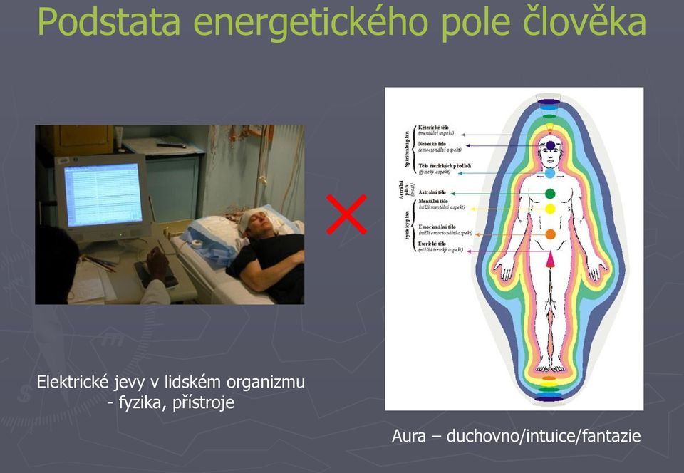 lidském organizmu -fyzika,