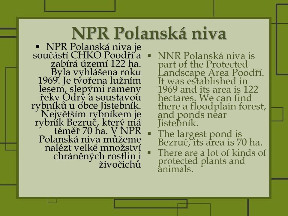 V NPR Polanská niva můţeme nalézt velké mnoţství chráněných rostlin i ţivočichů NNR Polanská niva is part of the Protected Landscape Area Poodří.