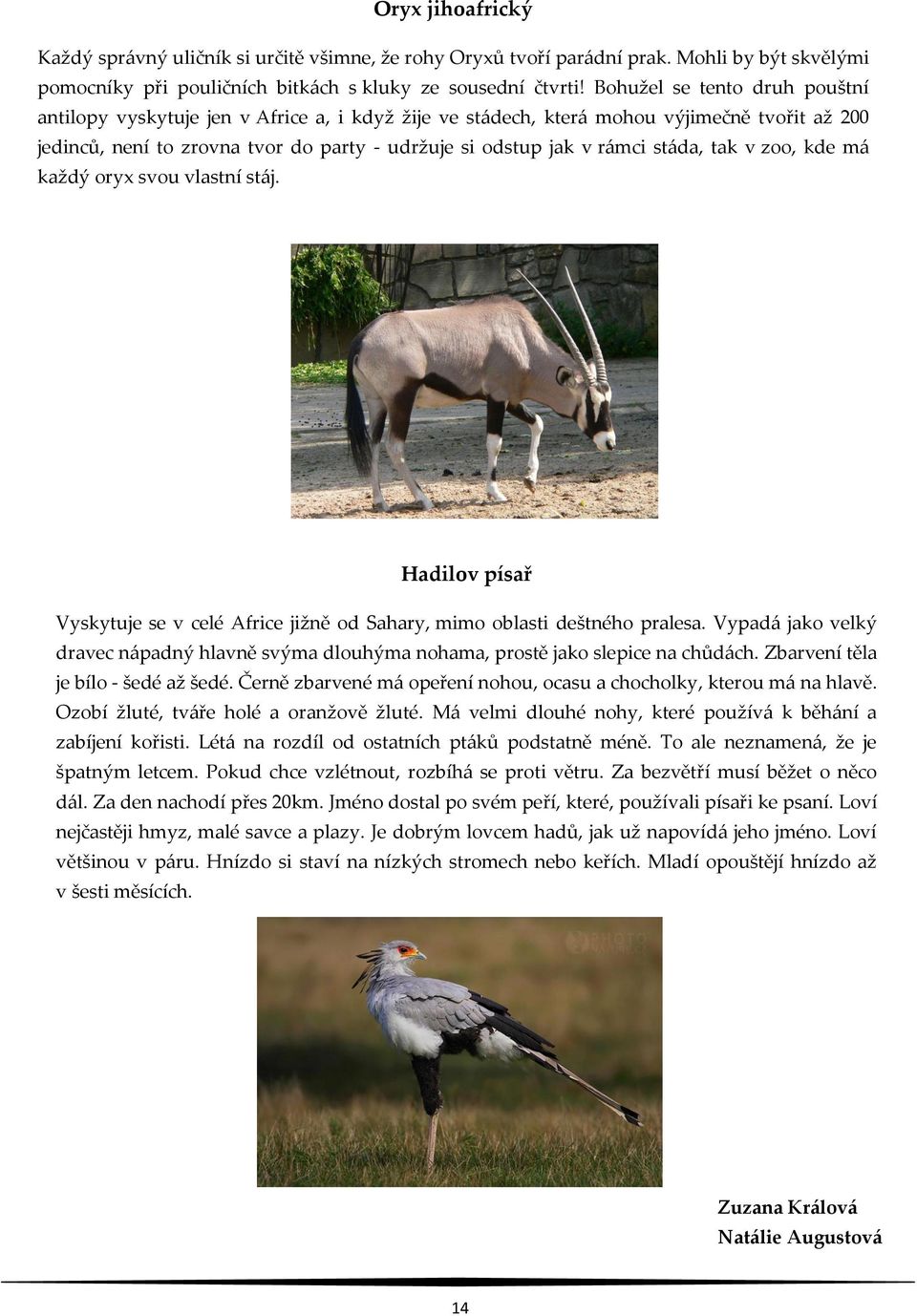 stáda, tak v zoo, kde má každý oryx svou vlastní stáj. Hadilov písař Vyskytuje se v celé Africe jižně od Sahary, mimo oblasti deštného pralesa.